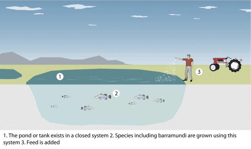 Aquaculture Methods Good Fish Bad Fish