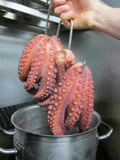 How to Cook Octopus - Good Fish Bad Fish