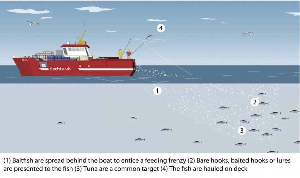 Commercial Fishing Methods: Longlining