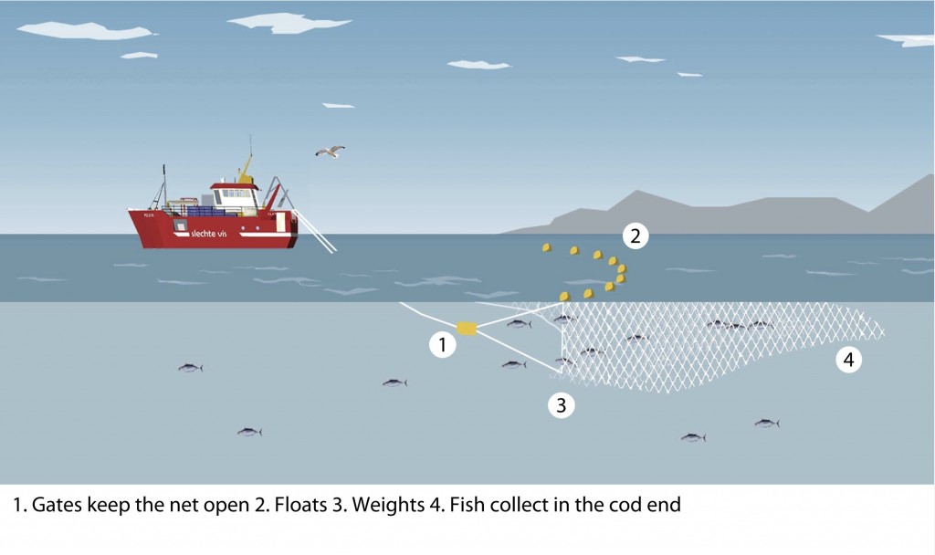 OceanWatch Australia - Learn More AboutDemersal Fish Traps Demersal fish  traps are used throughout the NSW coastline and managed through the NSW  Ocean Trap and Line fishery. They are useful for professionally