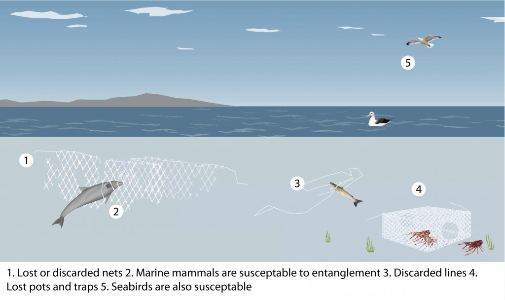 What is Pole and Line Fishing? 