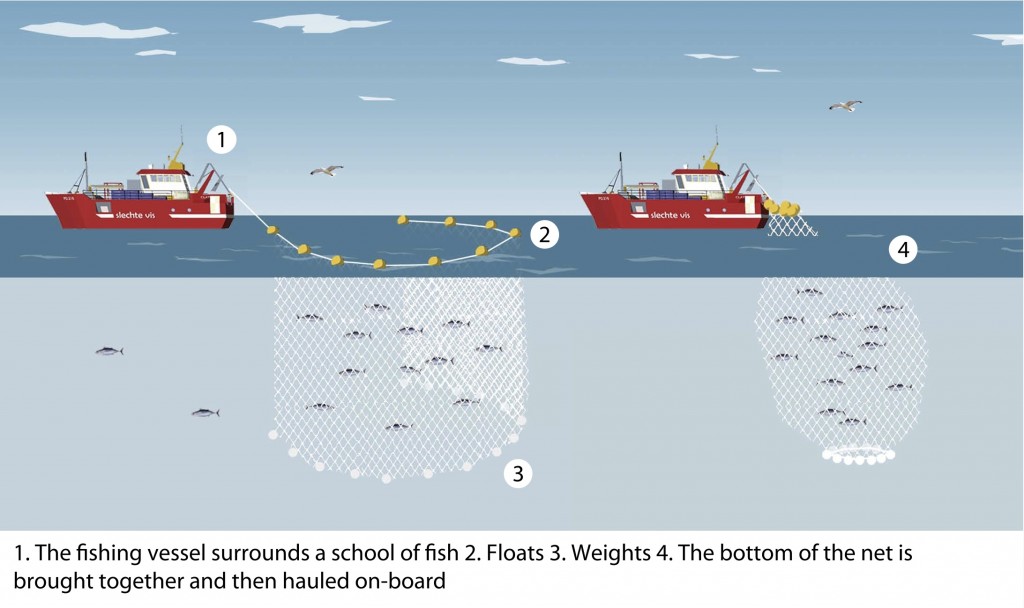 Unsustainable fishing methods - Wikipedia