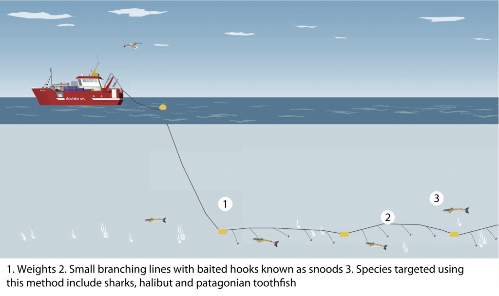 Fishing Techniques - Good Fish Bad Fish