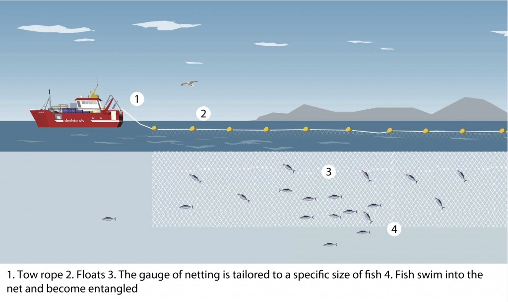 Single Layer Three Layer Commercial Fishing Net Completed Fish Gill Net - China  Fish Net and Fishing Net price