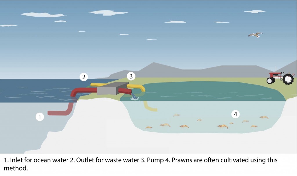 Aquaculture Methods Good Fish Bad Fish